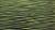 _A004156cr2oofm.jpg